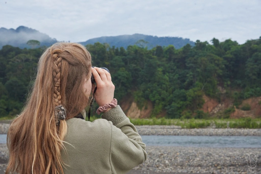 Living landscape in Manu supported by conservation stewardship