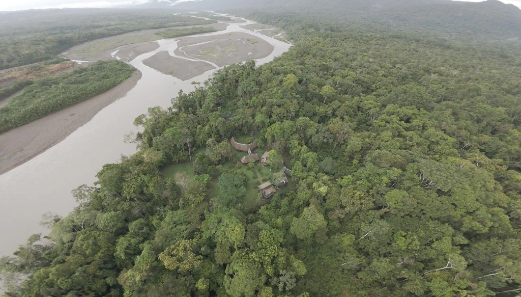 Life sustained under long-term forest stewardship in Manu